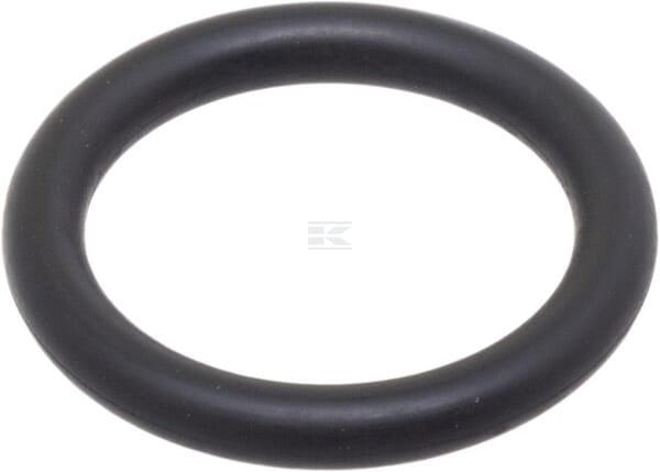 O-Ring