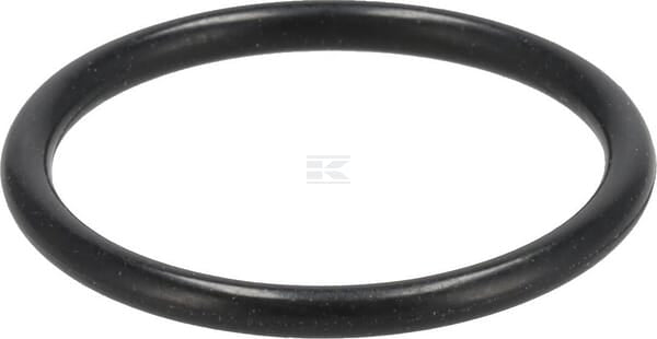 O-Ring