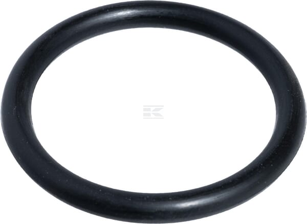 O-Ring