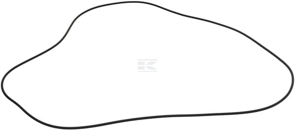 O-Ring