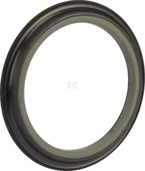 Dichtring